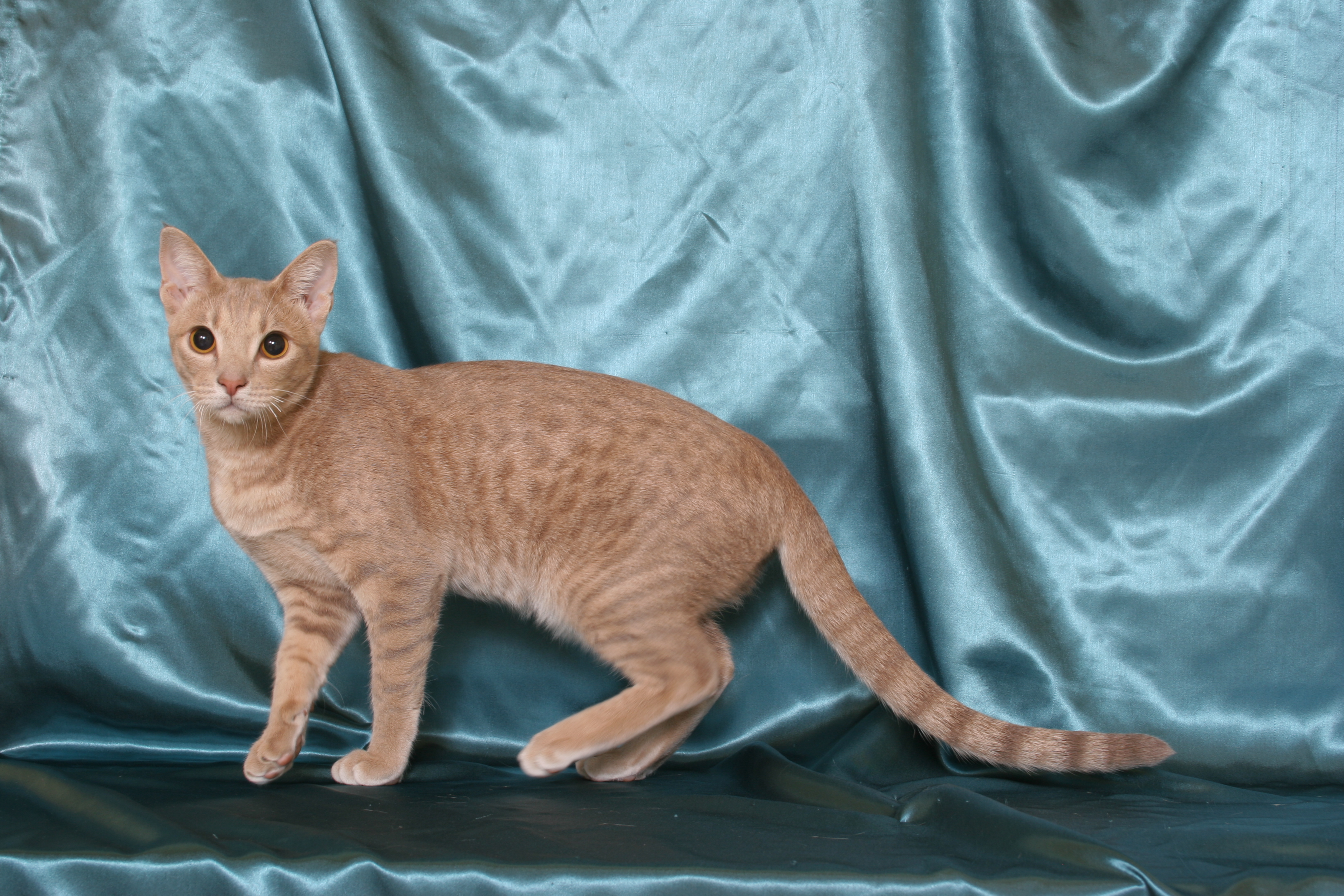Fiona-Go 008.jpg